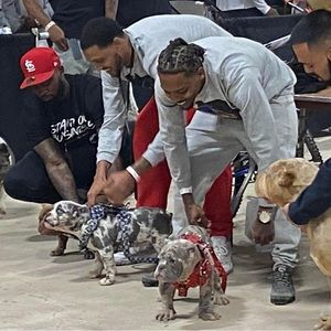 Meet your Posher, Robert